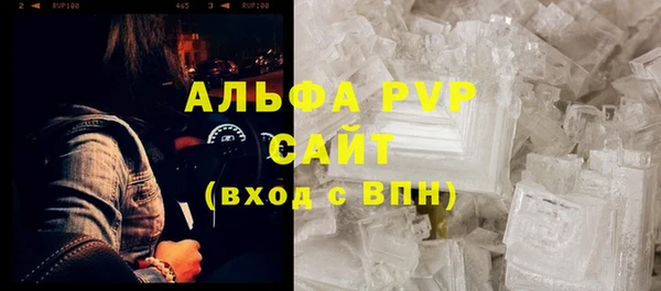 гидра Алексин