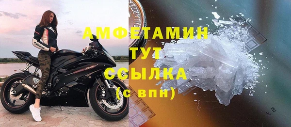 гидра Алексин