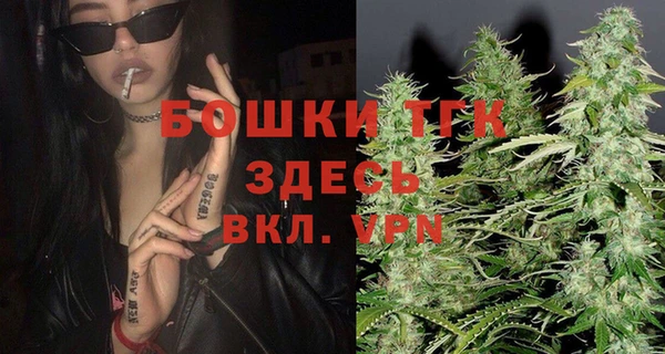 гидра Алексин