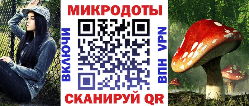 Галлюциногенные грибы Psilocybe  цены   Луга 